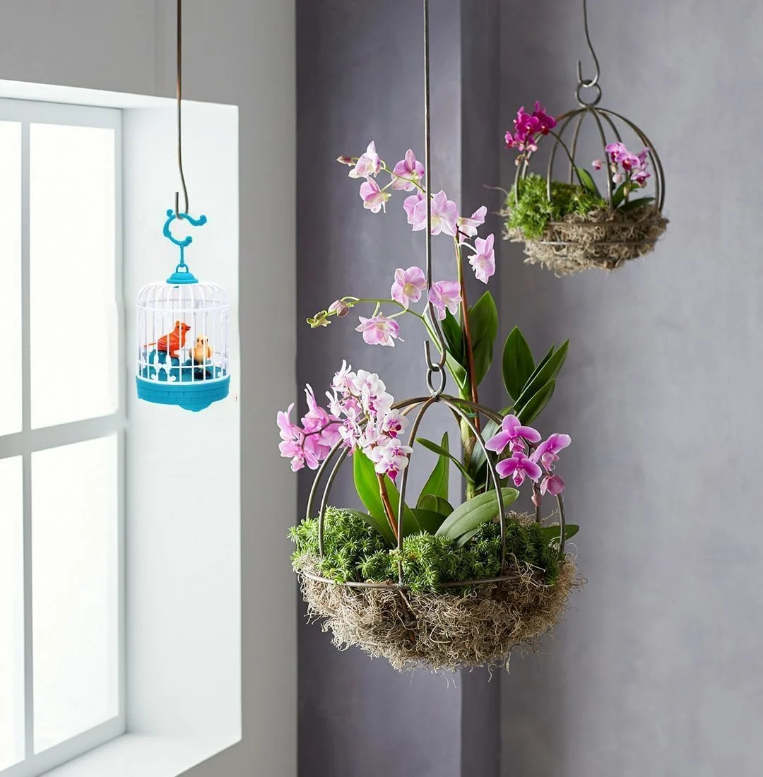 Interactive Talking Bird Toy - Singing, Repeating Parrot in Decorative Cage | Educational & Entertaining Gift for Kids, Toddlers & Children - Image 7